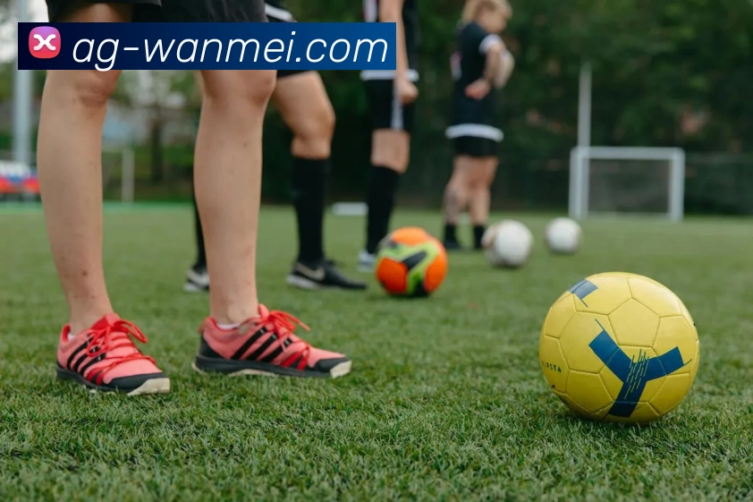 完美体育APP下载APP 封面图